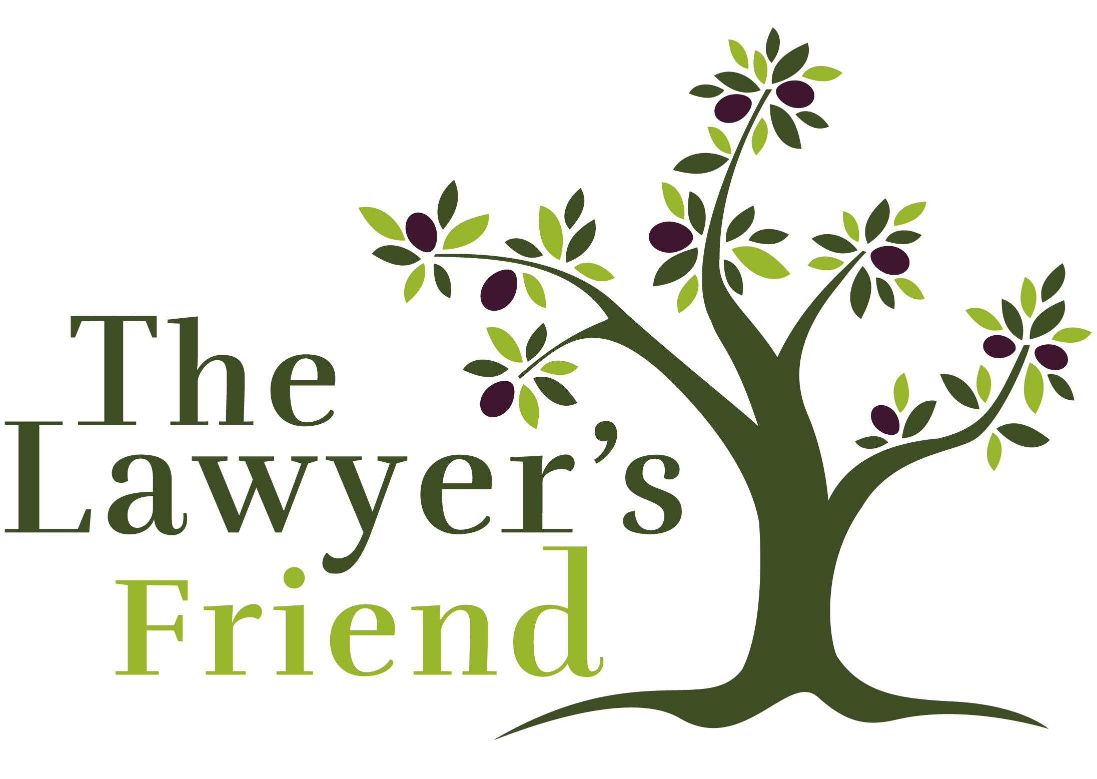The Lawyer's Friend